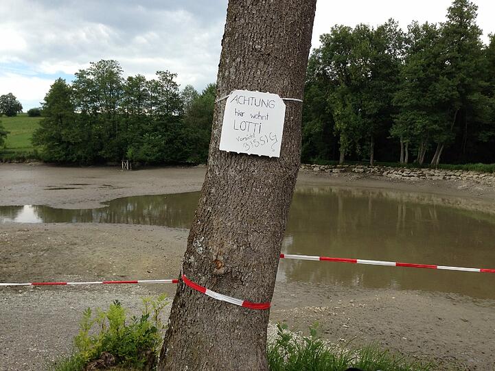 Die Suche nach Alligator-Schildkröte "Lotti" geht weiter. Hier sehen Sie die Bilder vom Badesee in Irsee.