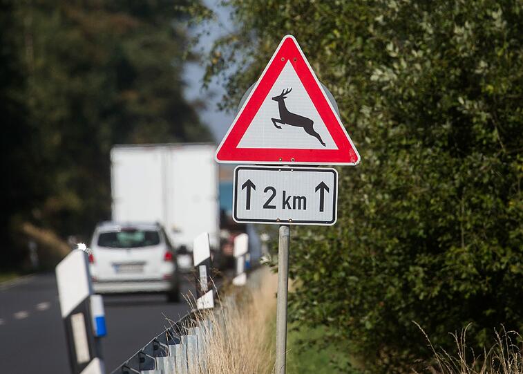 Wenn das Reh im Scheinwerferlicht auftaucht, ist es meist zu spät. Die App &bdquo;Wuidi&ldquo; warnt frühzeitig
