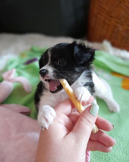 Milly