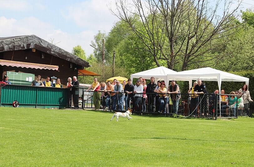 ...und schon geht's los! Sehen Sie hier die Bilder des Pasinger Hunderennens...