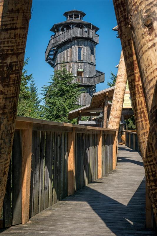104 Stufen f&uuml;hren auf den Turm mit Panoramaaussicht &uuml;ber den Wald.