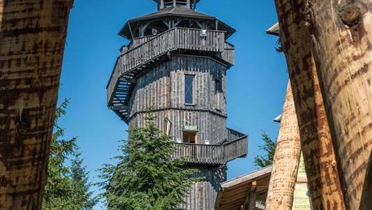 104 Stufen f&uuml;hren auf den Turm mit Panoramaaussicht &uuml;ber den Wald.