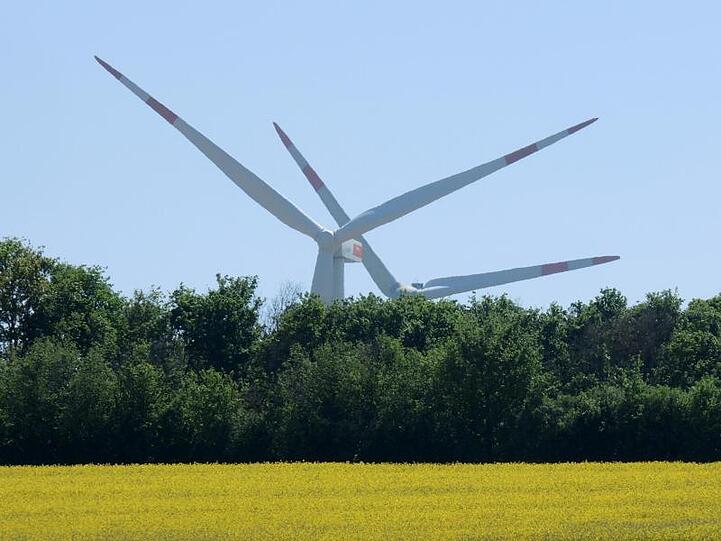 Windräder stehen hinter einem Wäldchen und einem blühenden Rapsfeld.