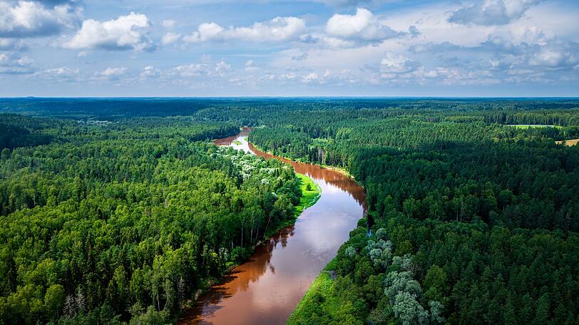 Der Gauja-Nationalpark ist das älteste und größte Schutzgebiet Lettlands und ein echtes Naturparadies für alle, die dem Trubel entfliehen möchten. Seinen Namen verdankt der Park dem Fluss Gauja, der sich malerisch durch Wälder, Täler und abwechslungsreiche Landschaften schlängelt. Ob beim Paddeln mit dem Kanu auf dem Wasser oder bei ausgedehnten Wanderungen durch die Natur - hier lässt sich Lettlands ursprüngliche Schönheit hautnah erleben. Der Gauja-Nationalpark ist das älteste und größte Schutzgebiet Lettlands und ein echtes Naturparadies für alle, die dem Trubel entfliehen möchten. Seinen Namen verdankt der Park dem Fluss Gauja, der sich malerisch durch Wälder, Täler und abwechslungsreiche Landschaften schlängelt. Ob beim Paddeln mit dem Kanu auf dem Wasser oder bei ausgedehnten Wanderungen durch die Natur - hier lässt sich Lettlands ursprüngliche Schönheit hautnah erleben.
