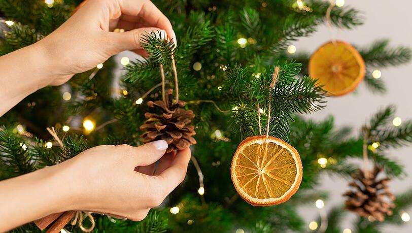 Getrocknete Orangenscheiben und Tannenzapfen sind Klassiker der weihnachtlichen Naturdeko. Getrocknete Orangenscheiben und Tannenzapfen sind Klassiker der weihnachtlichen Naturdeko.