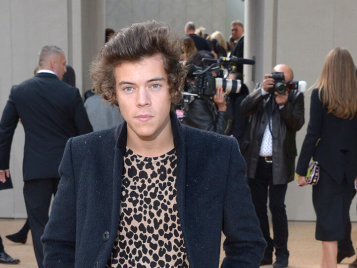 One Direction-Star Harry Styles mag große Katzen