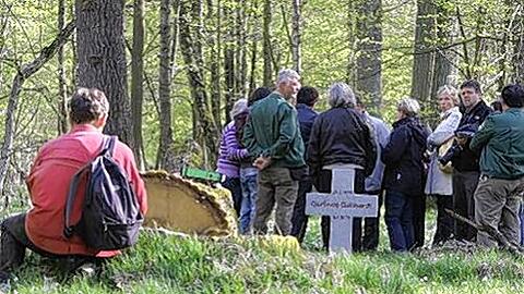 Die Prozessbeteiligten am Tatort: Neben dem gefällten Baum haben Freunde des Opfers ein Gedenkkreuz errichtet.