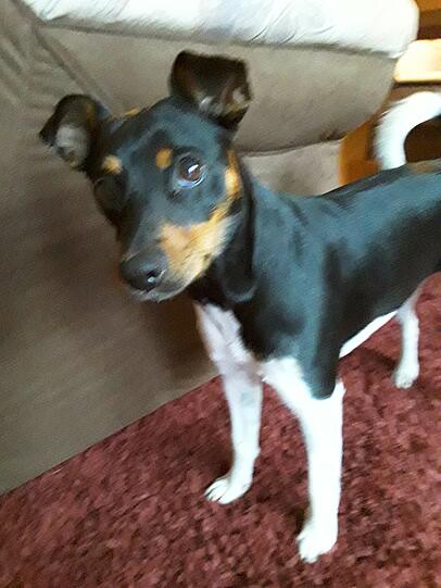 Lucy