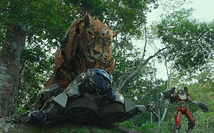 Die Maximals, Transformers in Tiergestalt, sind eine prähistorische, mit den Autobots verwandte Rasse, die durch die Zeit reist, um das Leben zu schützen. Die Maximals, Transformers in Tiergestalt, sind eine prähistorische, mit den Autobots verwandte Rasse, die durch die Zeit reist, um das Leben zu schützen.