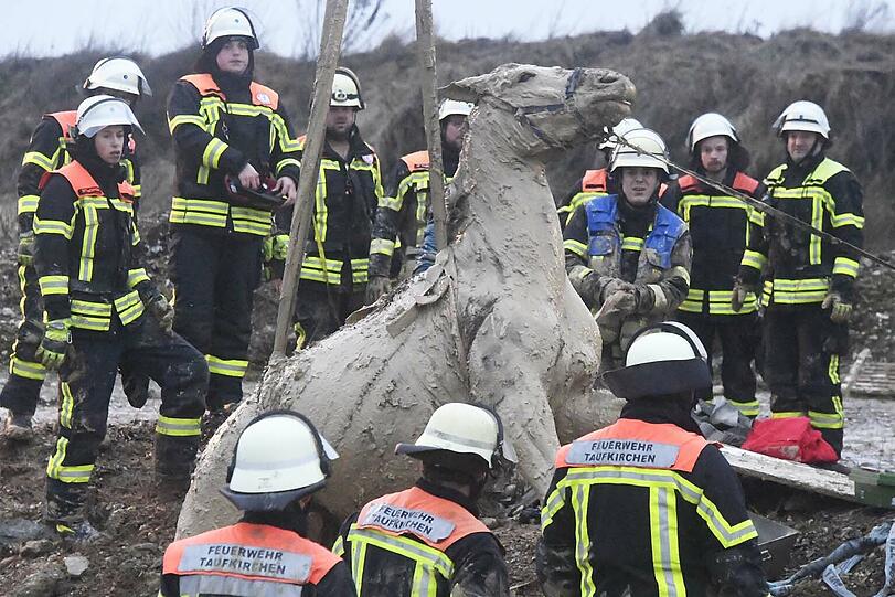 Die Feuerwehr Taufkirchen hat am Sonntag einen ungewöhnlichen Einsatz souverän erledigt: Das im Matsch versunkene Pferd wurde unversehrt gerettet.