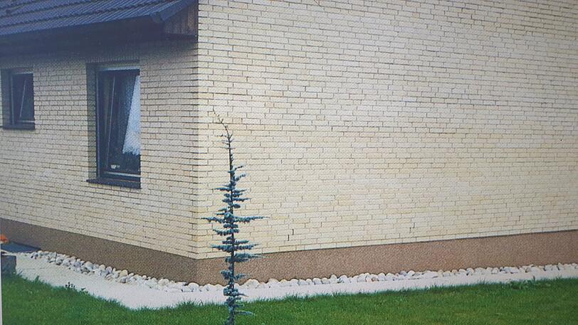 In der Ausstellung "Grün kaputt" tragen Bilder sarkastische Titel wie "Wir haben die Natur im Griff".
