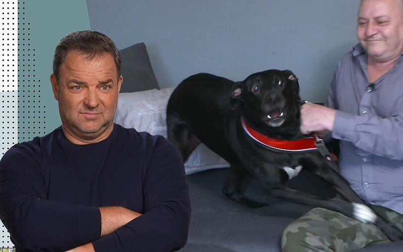 Bei Labrador Socke ist einiges in der Erziehung falschgelaufen, wie Martin R&uuml;tter den Herrchen bescheinigt.