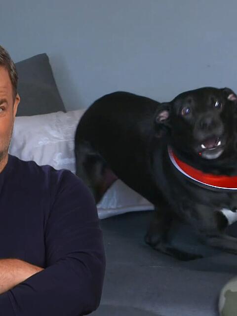 Bei Labrador Socke ist einiges in der Erziehung falschgelaufen, wie Martin R&uuml;tter den Herrchen bescheinigt.