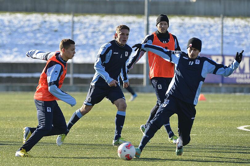 Die Löwen im Trainingslager in Brescia.