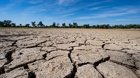 Aufgerissen und ausgetrocknet ist eine Sandbank an der Niedrigwasser f&uuml;hrenden Donau.