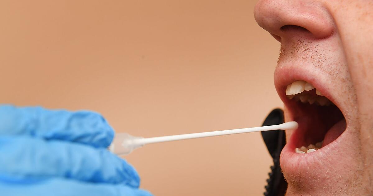 Mann-schickt-Freund-zu-Vaterschaftstest-Bew-hrungsstrafe