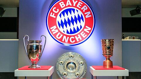 Der FC Bayern München - Zahlen und Fakten über den Verein