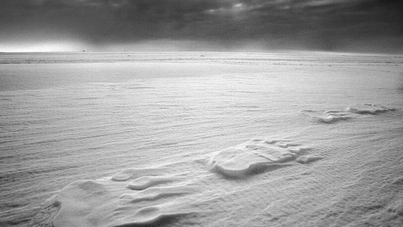 Gefahr und Lebensgrundlage: Eisbärenspuren auf dem Meereis, Grönland, 2010 Gefahr und Lebensgrundlage: Eisbärenspuren auf dem Meereis, Grönland, 2010