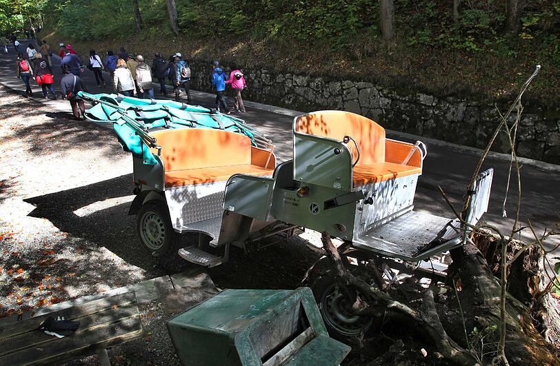 Bei einem Pferdekutschen-Unfall sind am Montag auf dem Weg zum Schloss Neuschwanstein neun Personen verletzt worden. Die durchgebrannten Pferde wurden eingeschläfert.