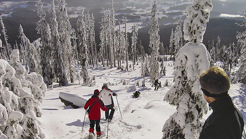 Für Einsteiger oder solche Schneeschuhwanderer, die es gerne gemächlich angehen lassen möchten, empfiehlt sich eine als leicht eingestufte Tour zum Dreisesselberg (1.313 m) Für Einsteiger oder solche Schneeschuhwanderer, die es gerne gemächlich angehen lassen möchten, empfiehlt sich eine als leicht eingestufte Tour zum Dreisesselberg (1.313 m)