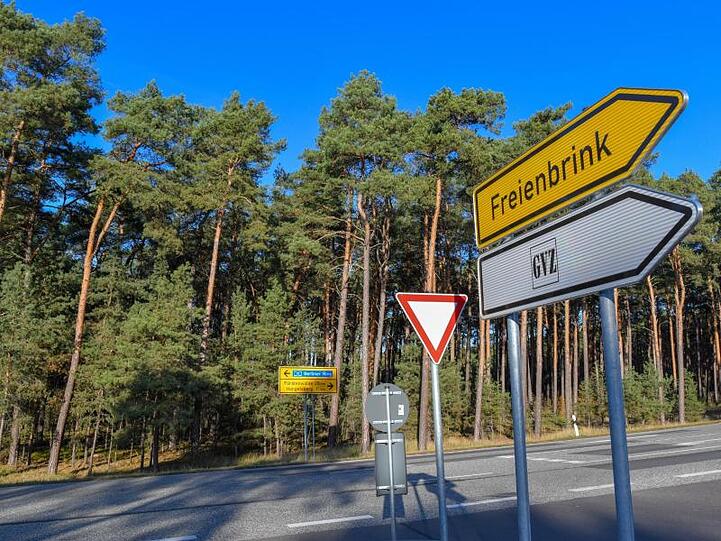 In diesem Waldgebiet plant Tesla den Bau einer Gigafactory.