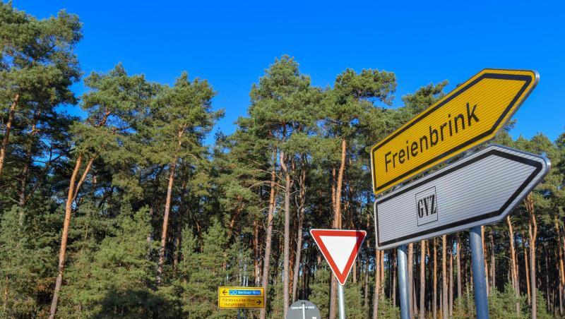 In diesem Waldgebiet plant Tesla den Bau einer Gigafactory. In diesem Waldgebiet plant Tesla den Bau einer Gigafactory.