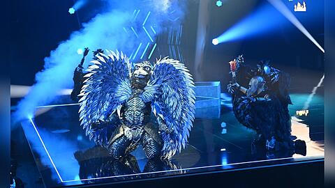 Der Schuhschnabel ist der "The Masked Singer"-Sieger 2023: Nachdem das blaue Vogelwesen Federn gelassen hat, kam ein bekannter Sänger zum Vorschein.