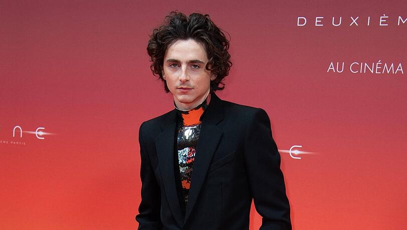 Timothée Chalamet wurde zu Beginn seiner Karriere für seine Figur kritisiert.