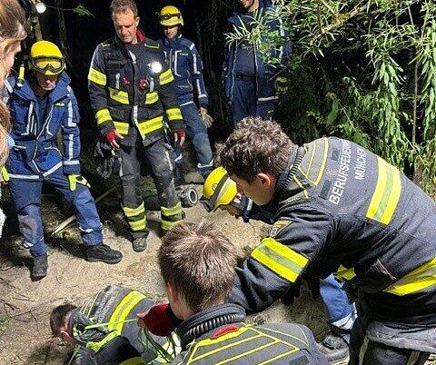 Bei der Rettungsaktion setzte der THW-Ortsverband M&uuml;nchen-Ost einen Bagger zur Unterst&uuml;tzung beim Ausgraben ein.