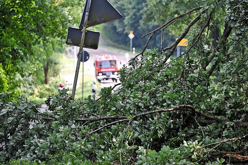 Im nördlichen Landkreis Freising richtete ein schwerer Hagelsturm am Nachmittag große Schäden an.