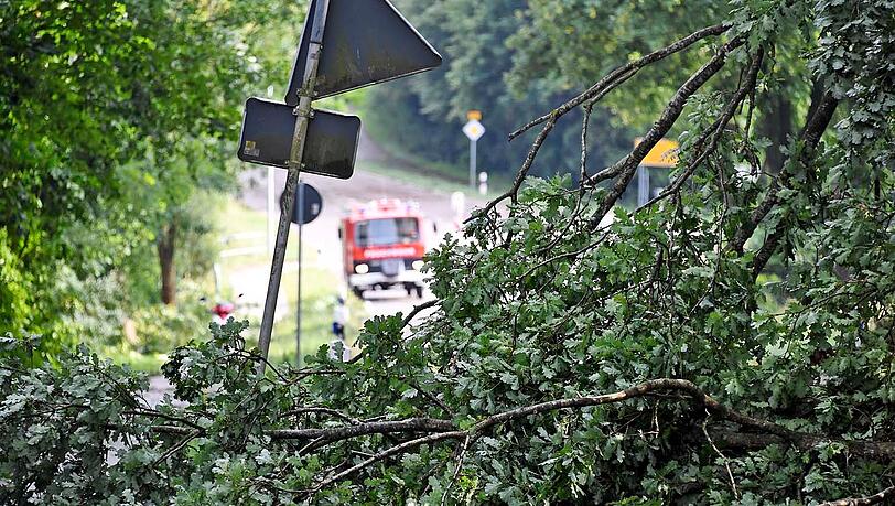 Im nördlichen Landkreis Freising richtete ein schwerer Hagelsturm am Nachmittag große Schäden an. Im nördlichen Landkreis Freising richtete ein schwerer Hagelsturm am Nachmittag große Schäden an.