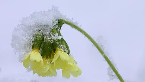 Die Osterferien beginnen mit ungem&uuml;tlichem Wetter. (Archivbild)
