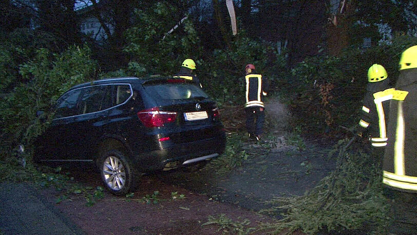 Ein umgekippter Baum liegt am 29.03.2015 in Rheine (Nordrhein-Westfalen) auf einem Fahrzeug.
