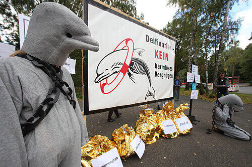 Für die einen Grund zum Jubeln, für die anderen ein Mega-Ärgernis: Tierschützer demonstrierten vor dem Tiergarten...