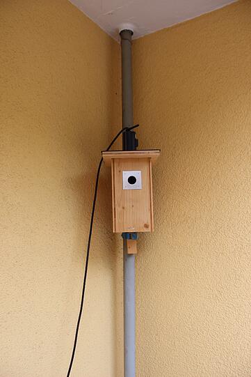 Das Vogel-Häuschen mit Videokamera auf dem Balkon von Felicia Englmann.