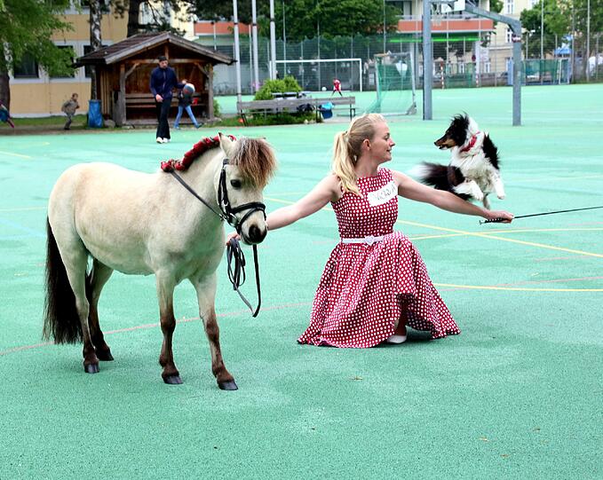 Mit Pony Sugar und Hund Mia ist Verena Zittlau (33) aus Bad Schussenried in Oberschwaben nach München gekommen. Der RTL-Jury will sie deren Supertalent vorstellen, um vielleicht im Herbst auch Casting-Großmeister Dieter Bohlen zu überzeugen.
&bdquo;Seit sieben Jahren habe ich Sugar, und seitdem habe ich sie auch als Dressurpferd ausgebildet&ldquo;, sagt sie. 
Als sie dann vor zwei Jahren den quirligen Hütehund Mia bekam, war ihr klar, dass die beiden mehr Potenzial haben, als nur vor ein paar Freunden Kunststückchen aufzuführen: &bdquo;Mittlerweile haben wir ein ganzes Programm, das wir bei den verschiedensten Veranstaltungen zeigen.&ldquo;