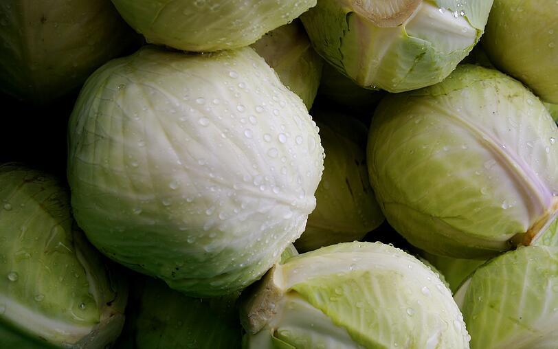 Sauerkraut ist zum Beispiel fermentiert. Für Kohl ist das Verfahren ideal, funktioniert aber beispielsweise auch mit Karotten, Gurken und Bohnen. Das Gemüse wird klein geschnitten und mit Salz vermengt, etwa mit fünf Prozent der Gemüsemenge. Daraufhin wird das Gemisch gestampft, damit Lake entsteht. Sauerkraut ist zum Beispiel fermentiert. Für Kohl ist das Verfahren ideal, funktioniert aber beispielsweise auch mit Karotten, Gurken und Bohnen. Das Gemüse wird klein geschnitten und mit Salz vermengt, etwa mit fünf Prozent der Gemüsemenge. Daraufhin wird das Gemisch gestampft, damit Lake entsteht.