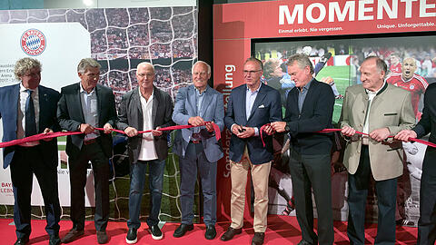 Jean-Marie Pfaff, Klaus Augenthaler, Franz Beckenbauer, Franz "Bulle" Roth, Karl-Heinz Rummenigge, Sepp Maier und Hans-Georg "Katsche" Schwarzenbeck (v.l.).