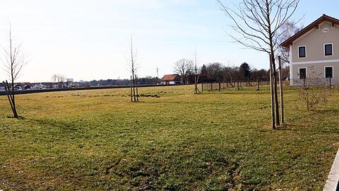 Am Mittwoch steht die SEM Nordost Thema erneut auf der Tagesordnung des Ausschusses für Stadtplanung und Bauordnung, der nunmehr Nägel mit Köpfen machen will. (Archivbild)