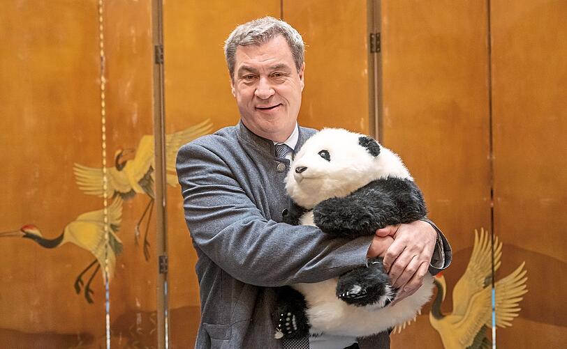 Markus Söder hält einen Pandabären aus Plüsch in den Armen, den er zuvor vom Parteisekretär der Kommunistischen Partei als Gastgeschenk überreicht bekommen hat. Söder bereist bis zum 28. März die Volksrepublik China.