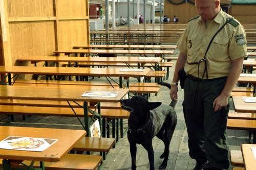 Sprengstoffhunde kontrollieren die Wiesn.