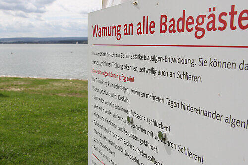 Ist die Algenplage schuld an der Tourismus-Flaute? Warnhinweise, wie hier am Altmühlsee, halten Badegäste fern.