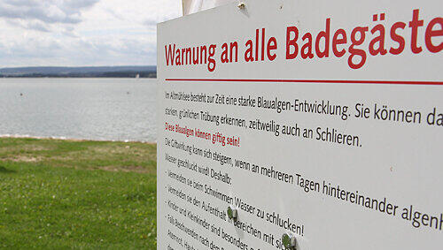 Ist die Algenplage schuld an der Tourismus-Flaute? Warnhinweise, wie hier am Altmühlsee, halten Badegäste fern. Ist die Algenplage schuld an der Tourismus-Flaute? Warnhinweise, wie hier am Altmühlsee, halten Badegäste fern.