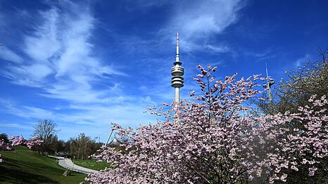 Am Mittwoch bleibt es sonnig. (Archivbild)
