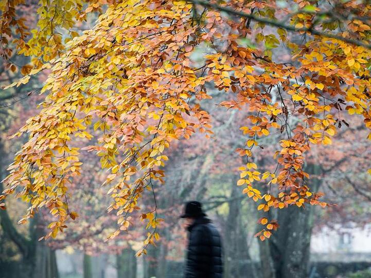 Eine Person geht an herbstlich verfärbten Bäumen entlang. Foto: Frank Rumpenhorst/dpa/Symbolbild