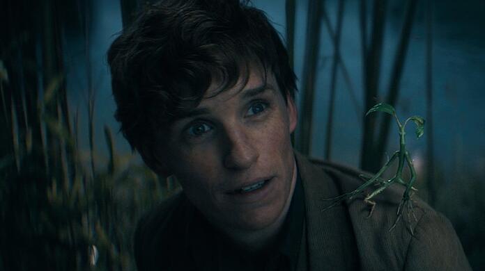 Eddie Redmayne als Newt Scamander in "Phantastische Tierwesen: Dumbledores Geheimnisse".