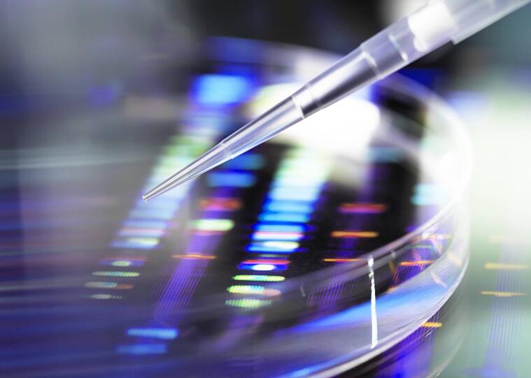 Dem Verbrechen auf der Spur: Dank genetischem Fingerabdruck können viele Fälle gelöst werden.