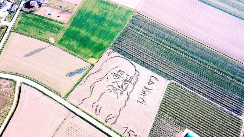 Leonardo auf dem Feld von Dario Gambarin. Leonardo auf dem Feld von Dario Gambarin.