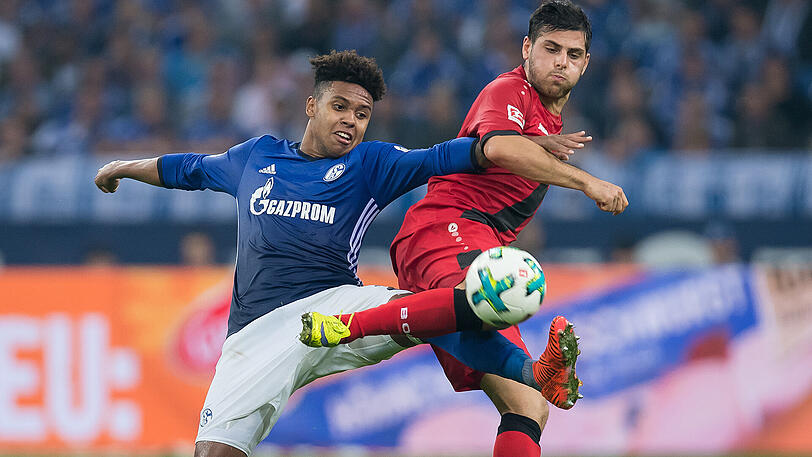 Schalkes Weston McKennie (links) und Leverkusens Kevin Volland kämpfen um den Ball.