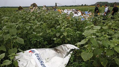 Ein Teil des Wracks der Boeing 777 der Malaysia Airlines liegt an der Absturzstelle nahe Donetsk.